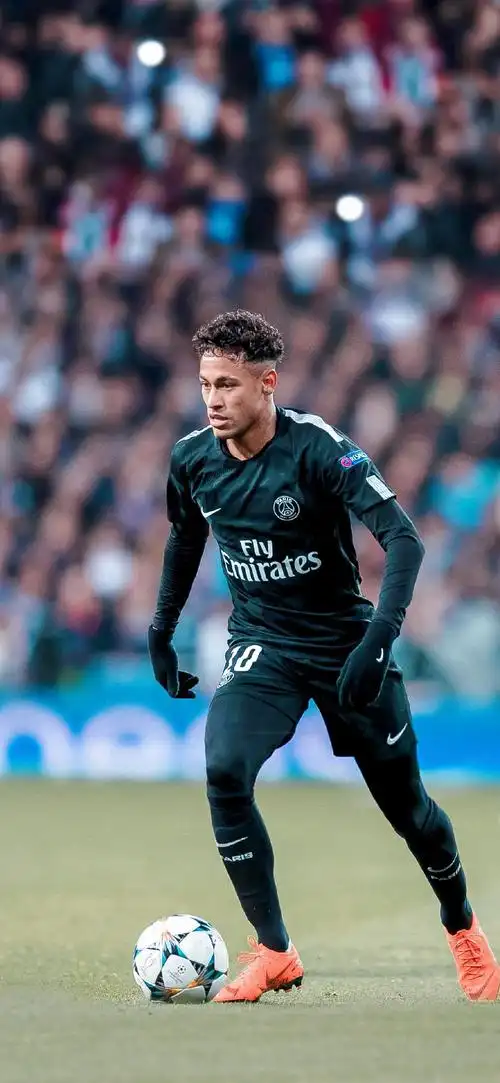 技術難度極 技術難度極