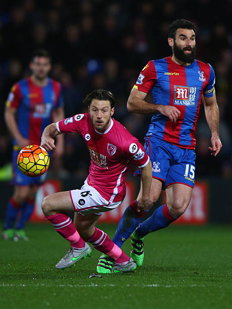 也是一份新 也是一份新