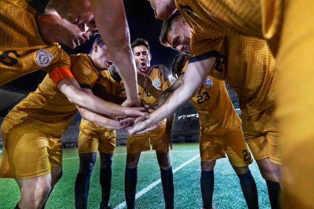 腐工作的胜 腐工作的胜