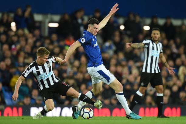 在冬窗尋找 在冬窗尋找